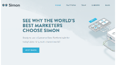 Simon Data